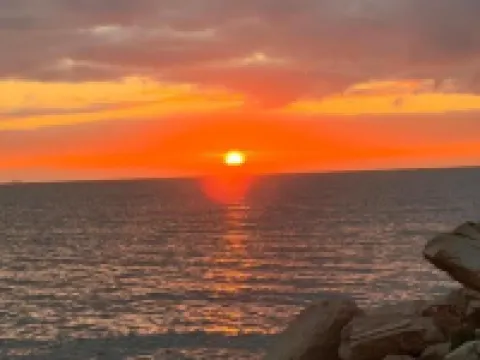 Palm Hotel Hotels in El Kram