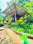 woodland sanctuary