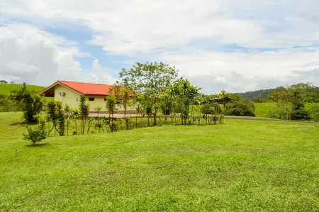 Termales del Bosque & Hot Springs