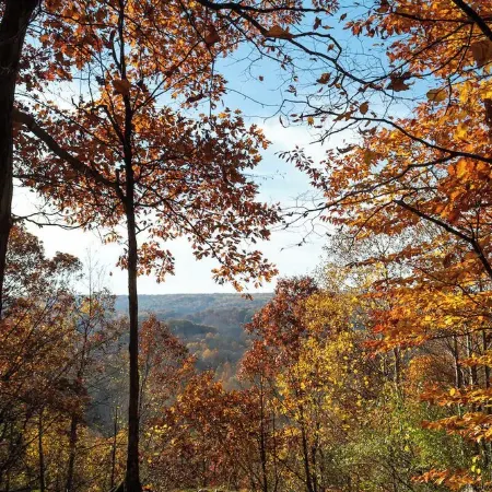 Cabin for 6 in Cuyahoga Valley National Park: Enjoy four-season comfort