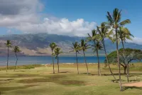 Calming Coastal Vistas