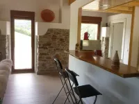 Beautiful views of the green nature from the inside Asturiana