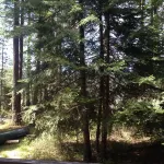 Cozy Guest Cabin Near River, Lake, And Hiking Access.