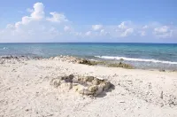 Beach Front Paradise Home.  Luxurious Funishings!