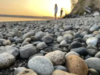 Private Island Escape on Puget Sound - Newly Remodeled! 60 minutes from Seattle!