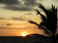 Beachfront Blue Moon Cabana  -Gold Standard Approved- Hotels in Hopkins