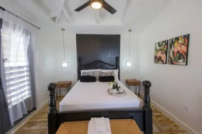 Spectular 4 Bed Luxury Villa, private pool, 5 min to beach - St. James