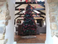 4 bedroom barn conversion on smallholding with alpacas, goats and pigs