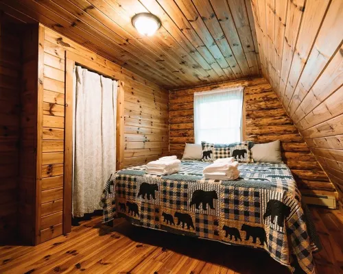 Afton Cabin Hotel di Chenango County