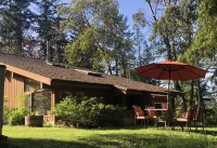 Misty Haven Suite