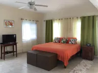 Hilltop Studio with ocean views, free daily breakfast and airport pickup.