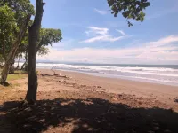 Buddha House, The Oasis for your Private Events!