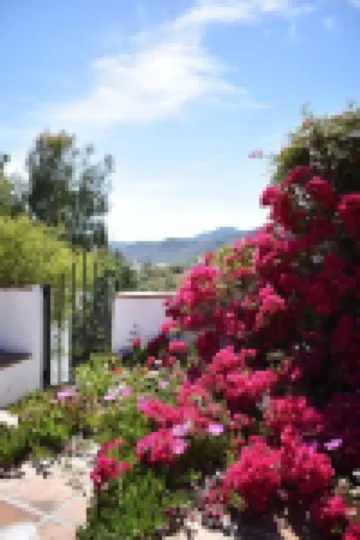 Characterful, Stylish 'Finca' with Heated Pool & Mountain Views (Beach 25 mins)