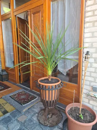 Renovierte Scheune mit Historischem Charme