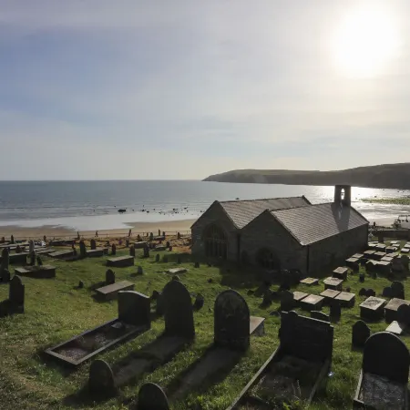 Cae'r Wylan