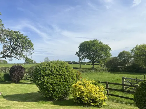 War Horse Valley Orchard View Hotels in Chulmleigh