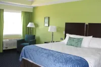 Starlight Inn Hoteles en Colchester