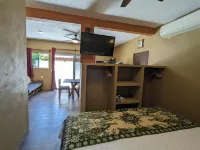 Casa Arcoiris Zihuatanejo - Homestays