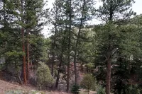 Fawn Valley Inn- 105 Condo