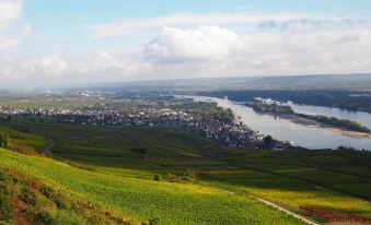 Gasthaus Weingut Stahl