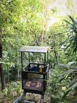 La Lancha by Francis Ford Coppola Hotels in 
