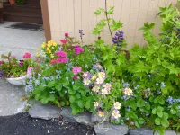 House on the Rock B&B Hotels in Valdez-Cordova