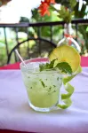 Rolson Hotel - bar
