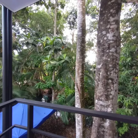 Casajungla Hostel