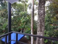 Casajungla Hostel - Scenic