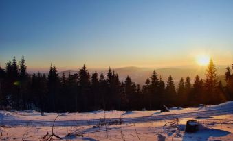 Boutiquehotel Liebesglück - Adults Only