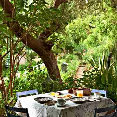 Riad Jardin des Biehn Hotel Exterior