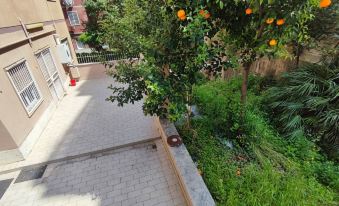 VATICAN GREEN GARDEN