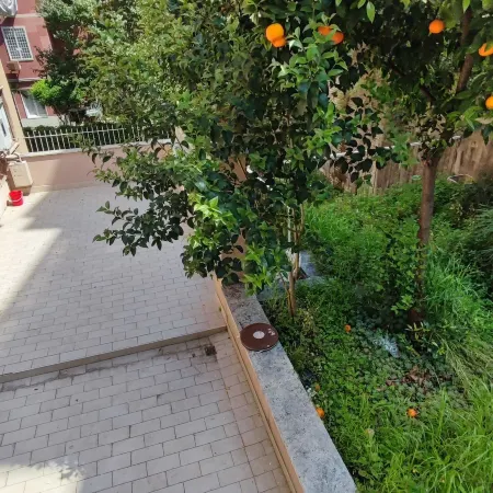 VATICAN GREEN GARDEN Отели рядом с достопримечательностью «Станция метро Cipro»