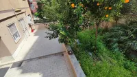 VATICAN GREEN GARDEN Hotels near Stadio Olimpico
