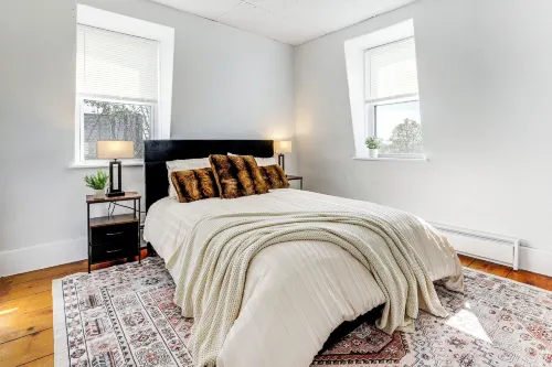 Explore Dtwn, Parks & Colleges: Cozy Worcester Apt - Apartments