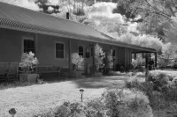 Wildwood Guesthouse Hotel a Mudgee