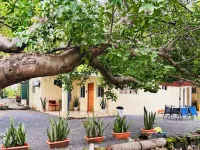 Hostal Camila’s Hotels in El Sunzal