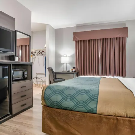 Quality Inn & Suites Hotels in Demopolis