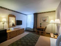 Econo Lodge Metro
