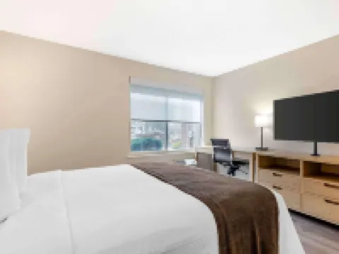 Extended Stay America Suites - Washington, DC - Tysons Corner Hotels in Tysons Corner