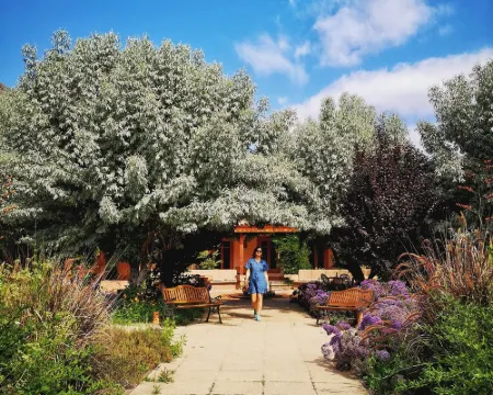 Refugio El Molle Hotels in Vicuna