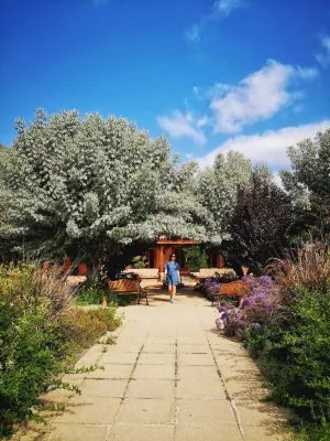 Refugio El Molle Hotels in 