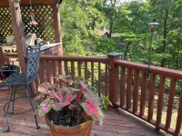3-bedroom house in charming White with WiFi and AC. Lakefront lake Allatoona