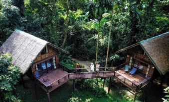 Our Jungle House