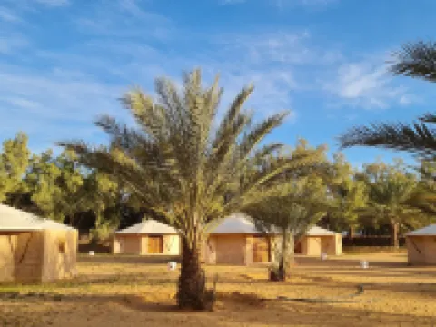 Hotel Pansy Hotels in Douz