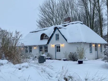 Vacation apartment Witt-Dün