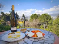 Charming 2-bedroom apartment with WiFi, AC in quaint Mikhmanim Hotels in Akko