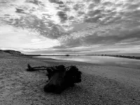 Appartement Super Équipé Avec Piscine Proche Plage