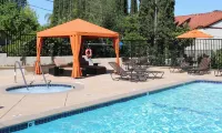 Stylish & Cozy 1BR Retreat Perfect for Work & Travel Prime Location! - Pools