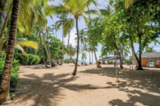 Luxury 2-Bedroom Apartment with Private Mini Pool & Backyard in Las Terrenas